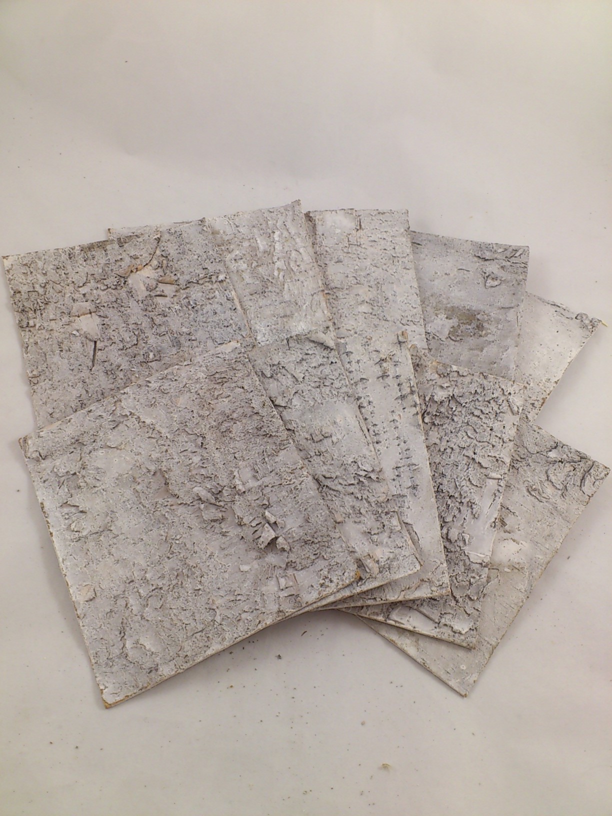 Plaque d'écorce de bouleau white-wash 15x15 cm 10 p.